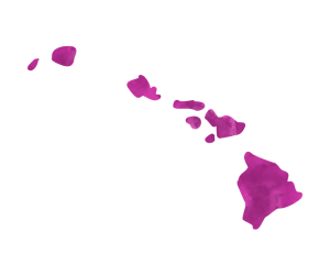hawaii recruit